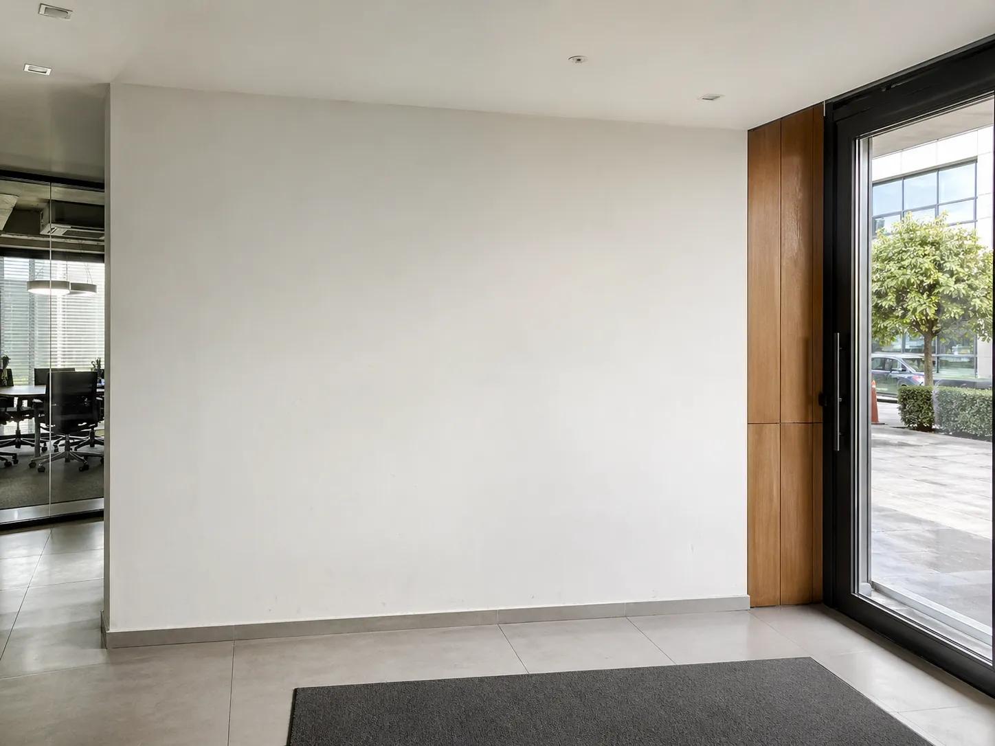 Sade ofis giriş duvarı