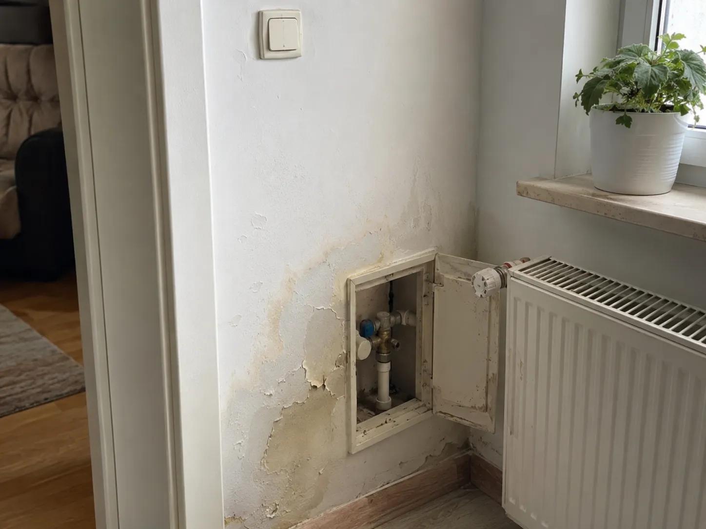 su kaçağı tespiti & onarım öncesi daire içi görünümü